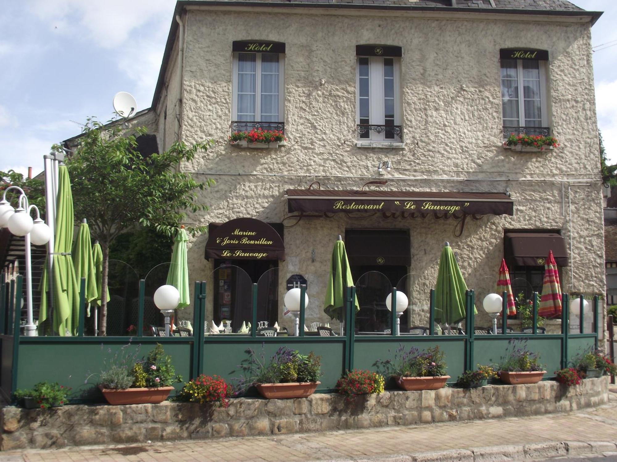 Hotel Le Sauvage Château-Renard Exterior foto