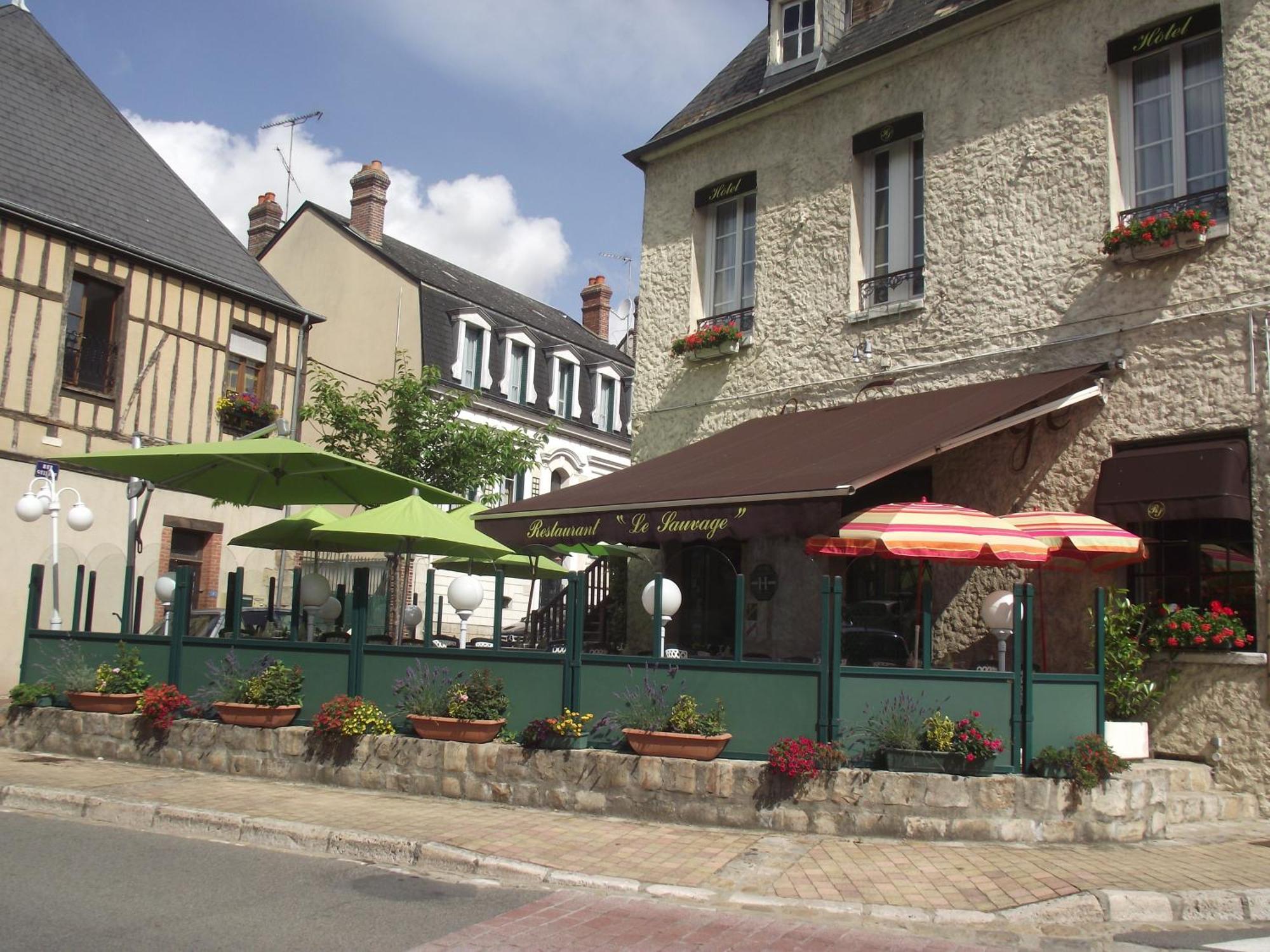Hotel Le Sauvage Château-Renard Exterior foto