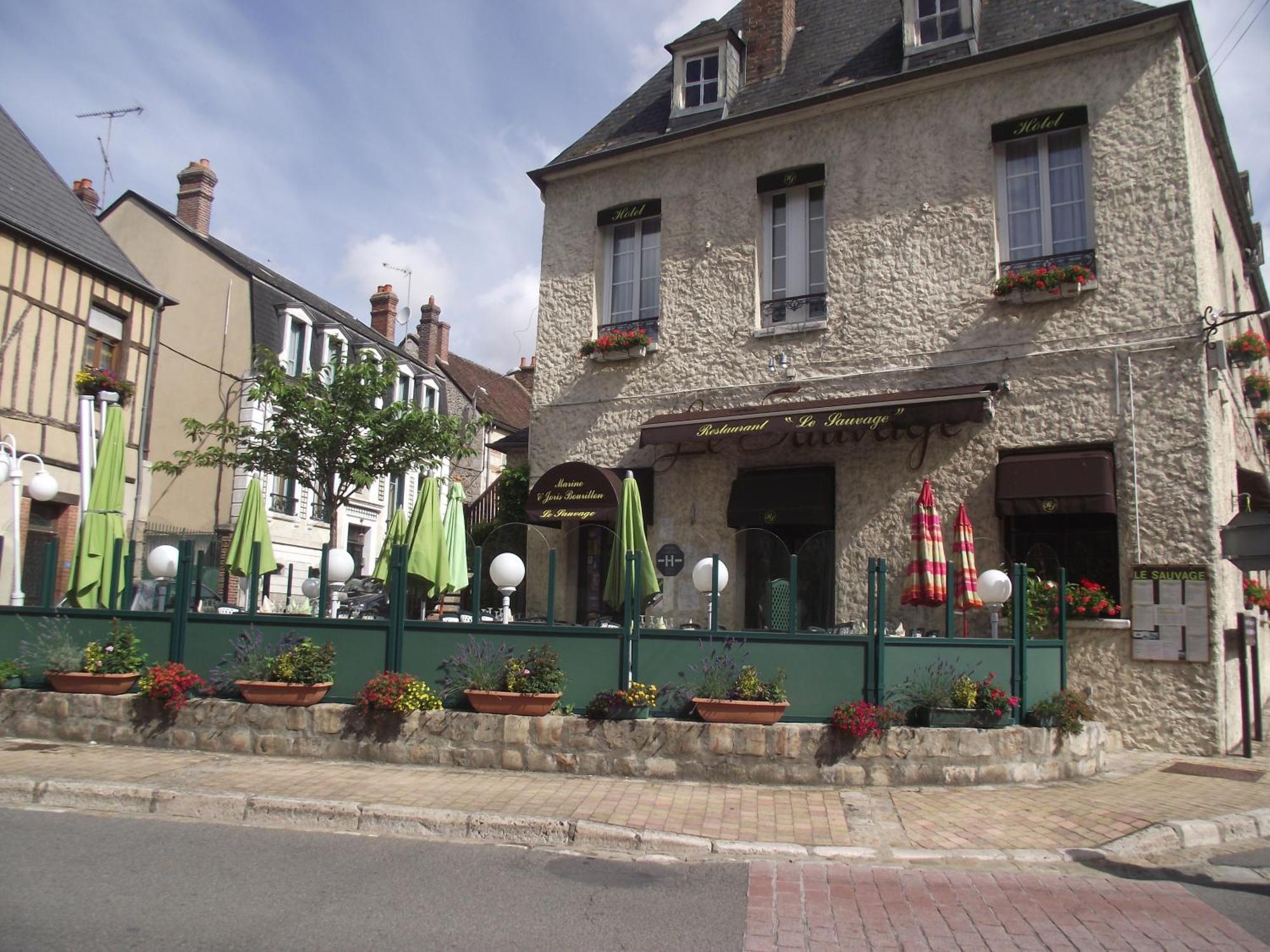 Hotel Le Sauvage Château-Renard Exterior foto