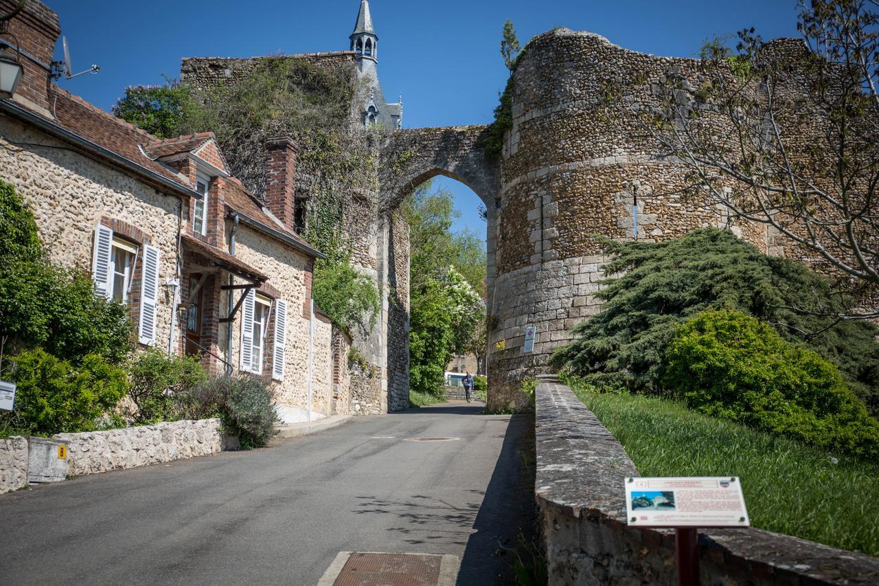 Hotel Le Sauvage Château-Renard Exterior foto